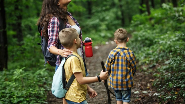 a mom roadschooling her kids in a version of RV homeschooling by hiking in the woods for science class
